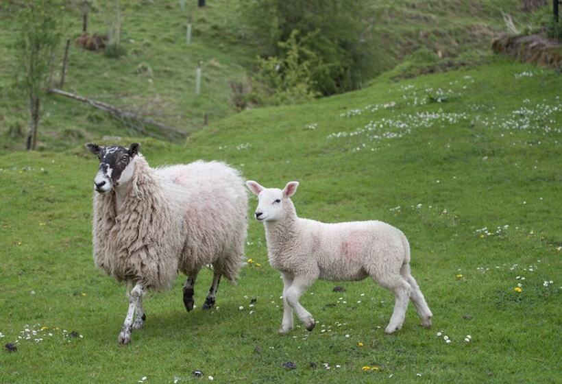 Abbotshaw House   Farm B&b