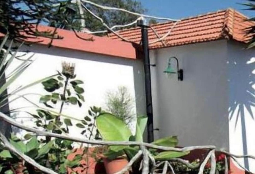 ベッドアンドブレックファースト Casa Do Ribeirinho