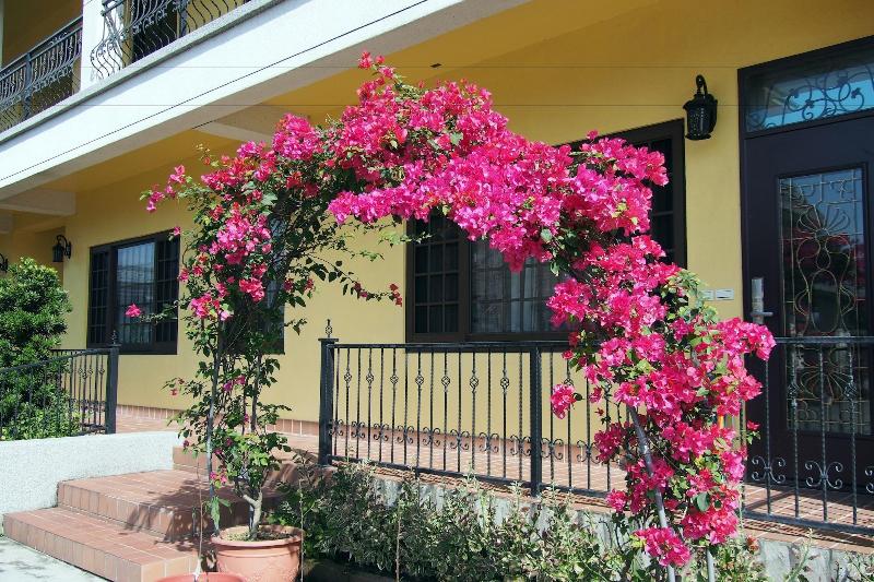 تختخواب و صبحانه Elegance House