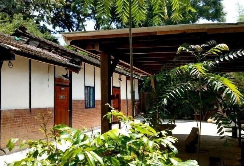 تختخواب و صبحانه Ienarts Museum