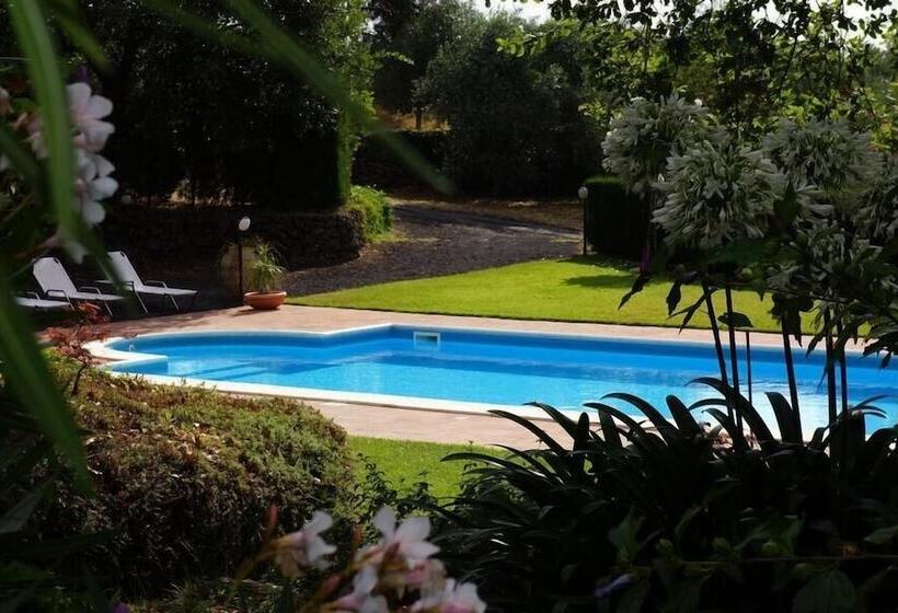 Bed And Breakfast Il Glicine