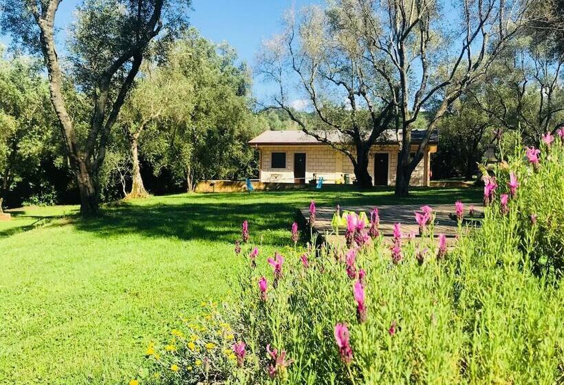 Green Park Hotel & Residence