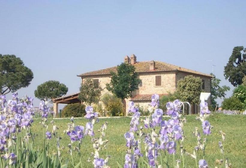 Хостел Agriturismo Brolio Quinto