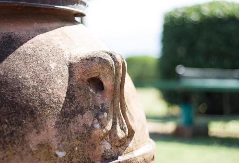 Хостел Agriturismo Brolio Quinto