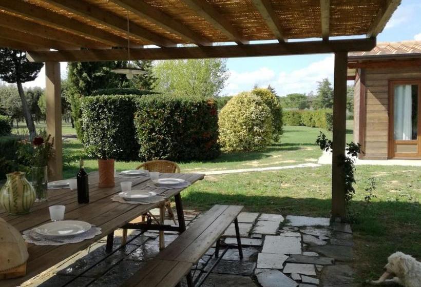 Хостел Agriturismo Brolio Quinto