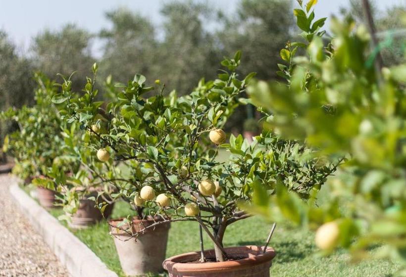 Хостел Agriturismo Brolio Quinto