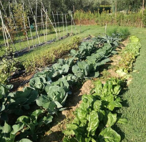 Хостел Agriturismo Brolio Quinto