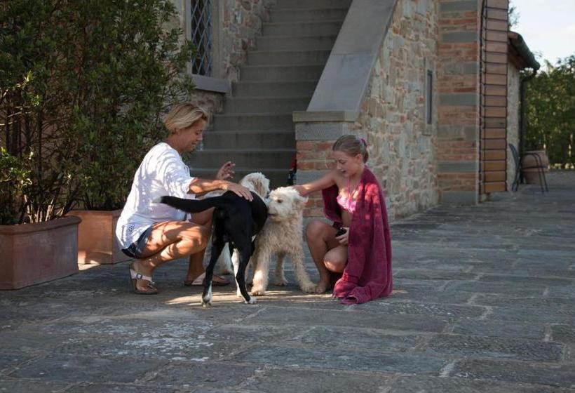 Хостел Agriturismo Brolio Quinto