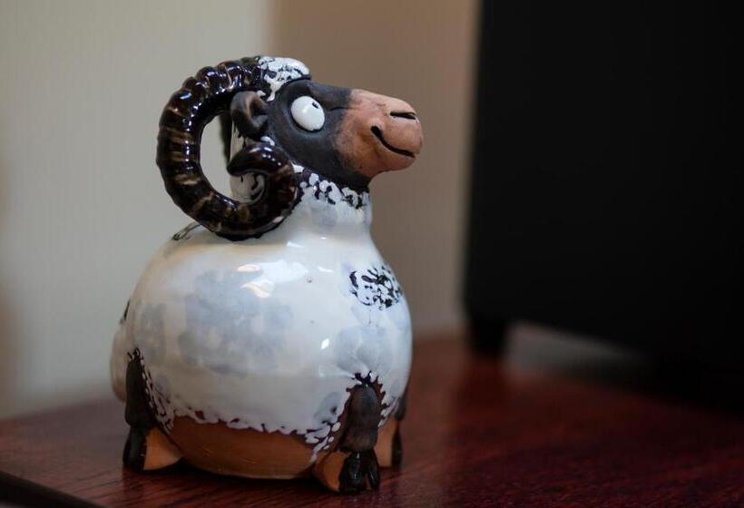 فندق فئة نجمة واحدة Ceol Na Mara Guest House