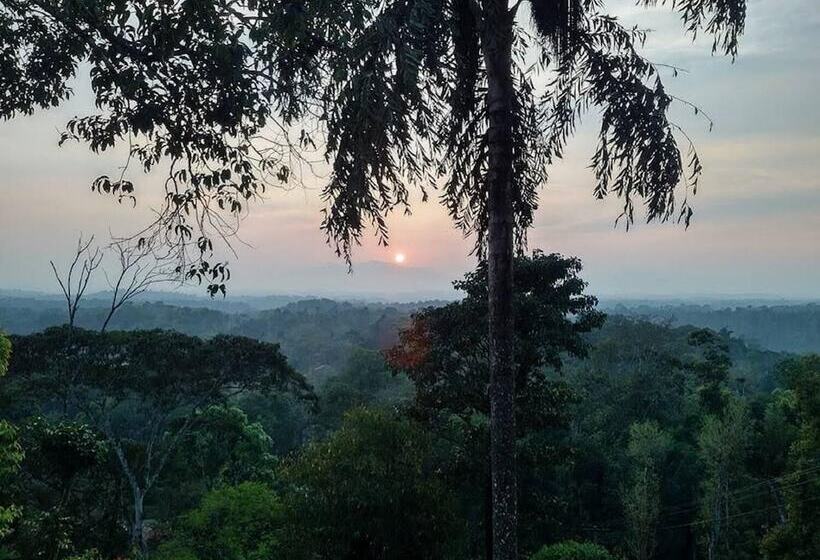 פונדק Forestdale Coorg