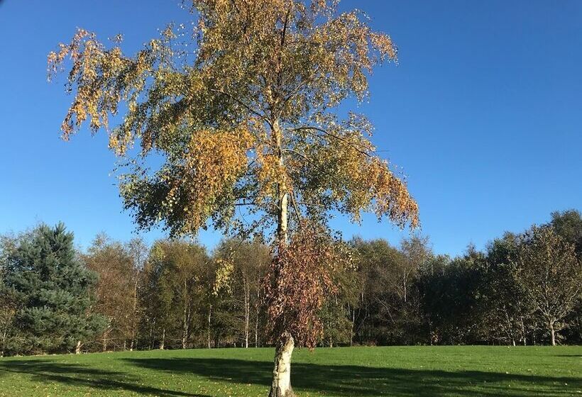 客栈  Good Cottages