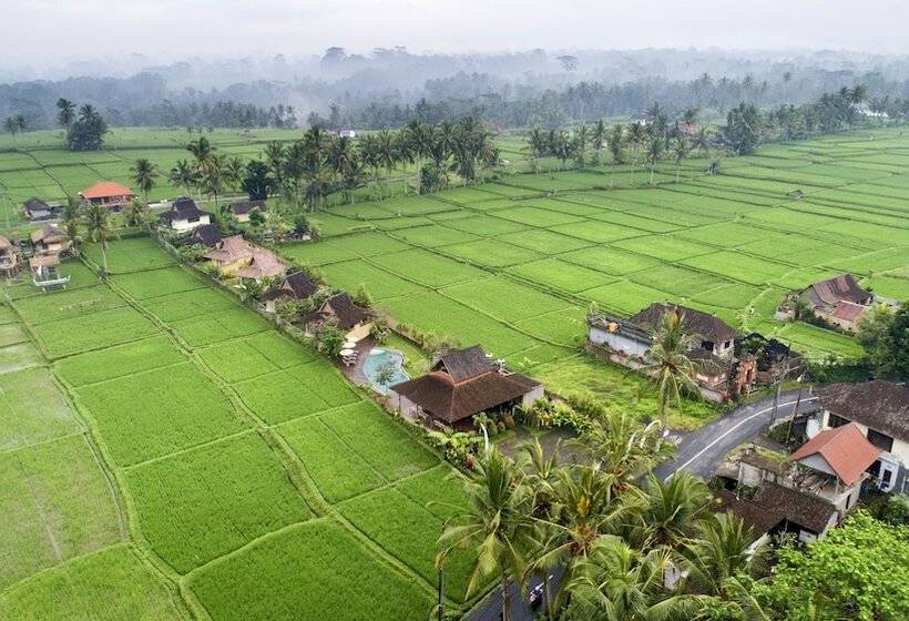 פונדק Kabinawa Ubud Villas By Pramana Villas