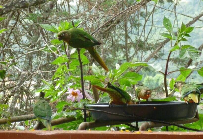 客栈 Pousada Dos Esquilos