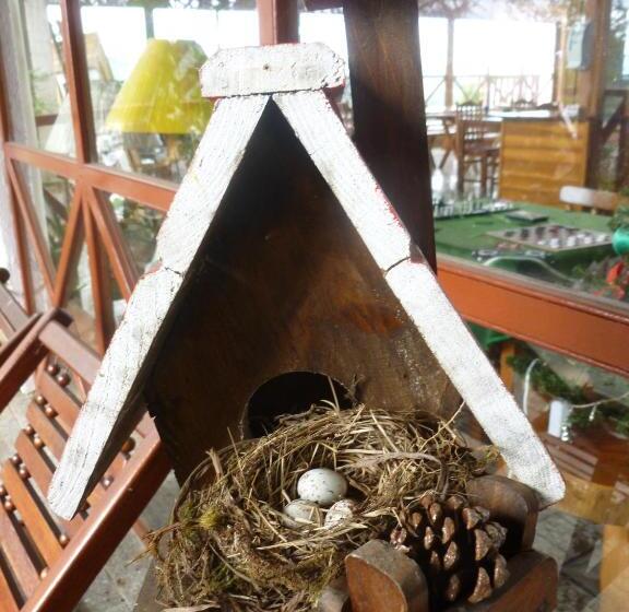 客栈 Pousada Dos Esquilos