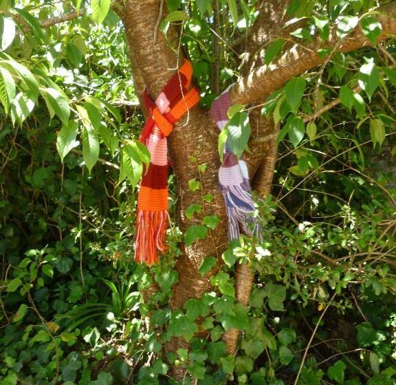 客栈 Pousada Dos Esquilos