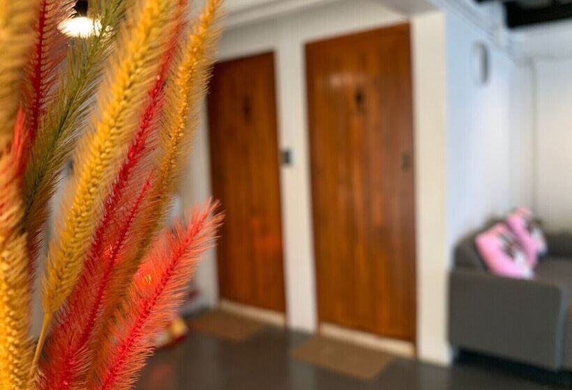 Отель Busket Hostel