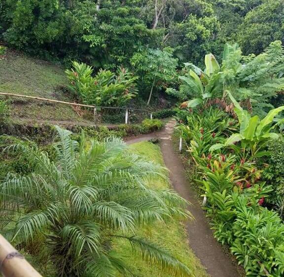 Отель Cabanas Cascadas Encantadas