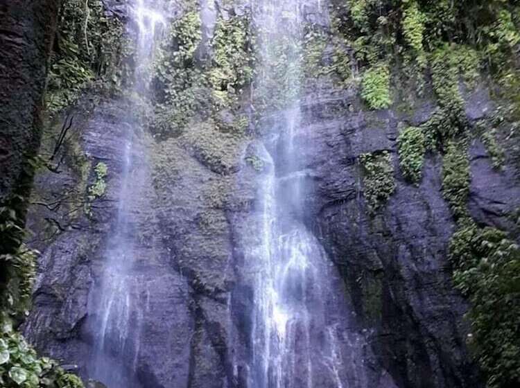 Отель Cabanas Cascadas Encantadas