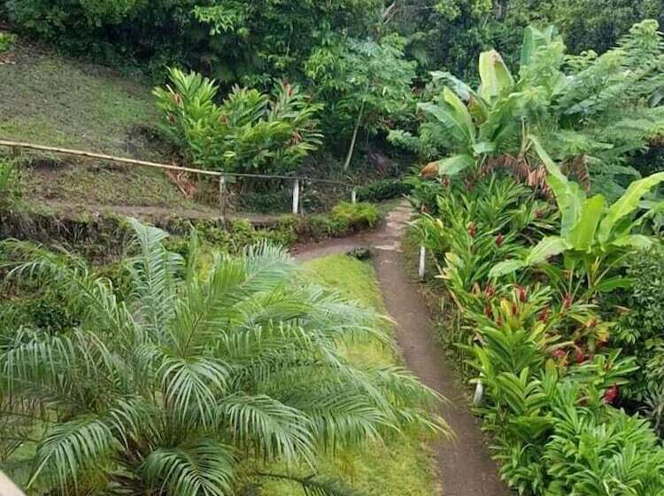 Отель Cabanas Cascadas Encantadas