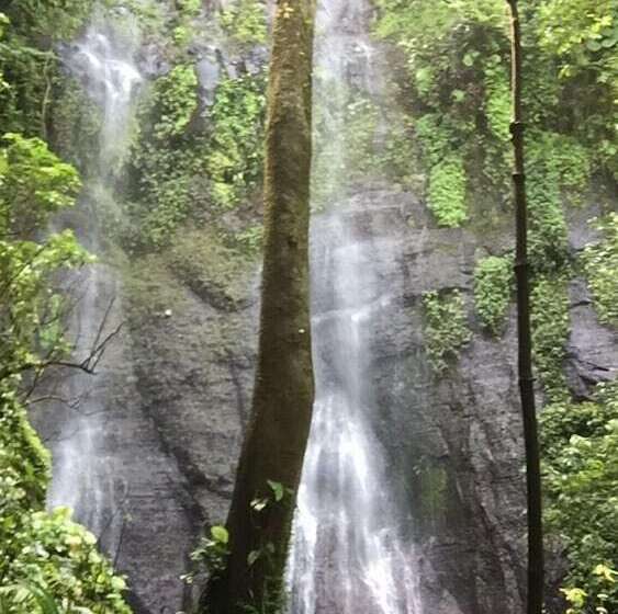 Отель Cabanas Cascadas Encantadas