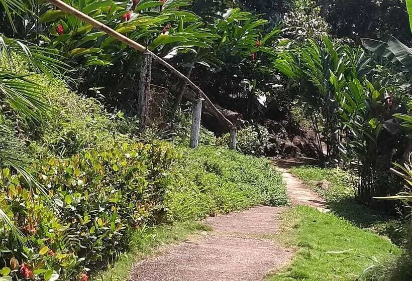 Отель Cabanas Cascadas Encantadas