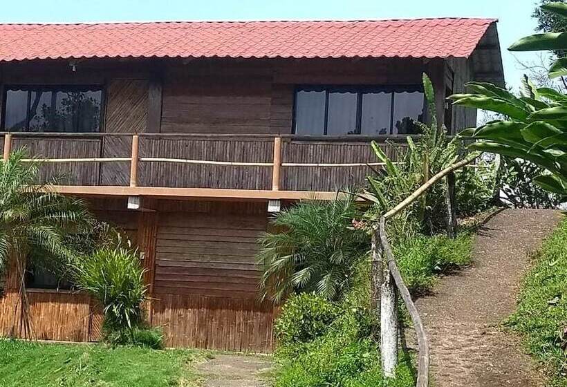 Отель Cabanas Cascadas Encantadas