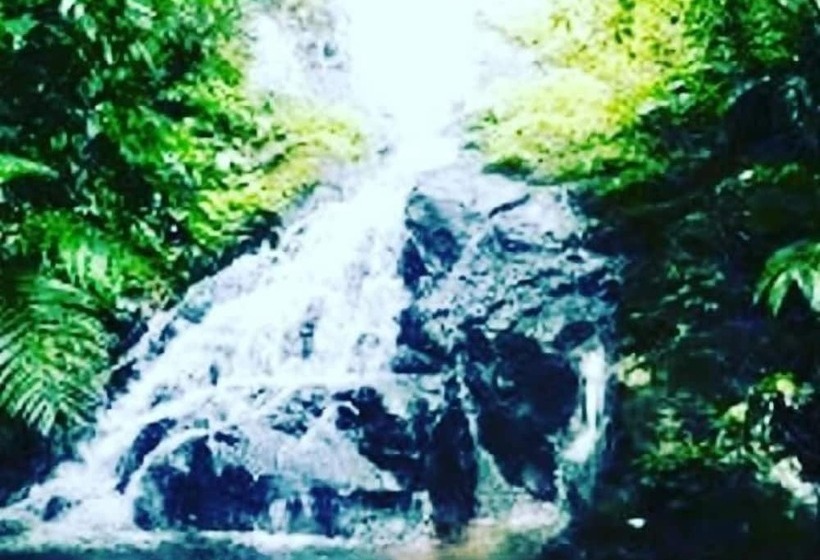 Отель Cabanas Cascadas Encantadas