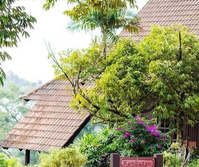 בית מלון כפרי Carpe Diem Orchard Home