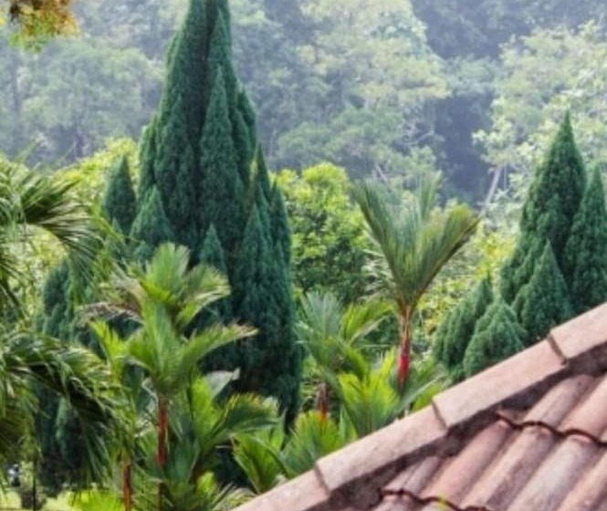 בית מלון כפרי Carpe Diem Orchard Home