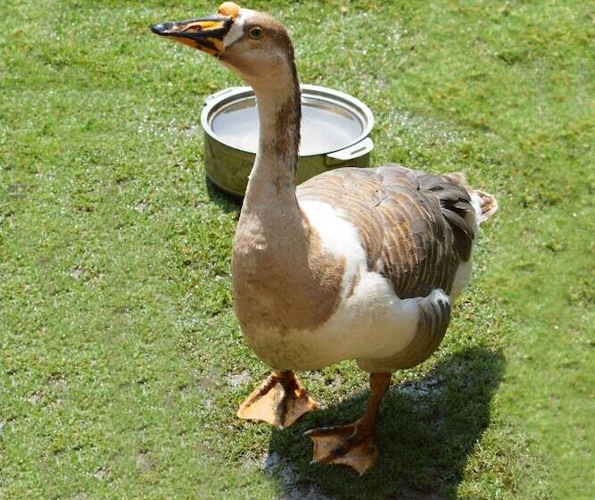 בית מלון כפרי Corbett Paradiso By Ilila