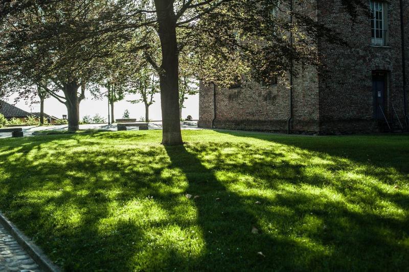 בית מלון כפרי Davide