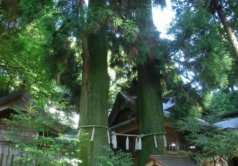 בית מלון כפרי Grateful Takachiho