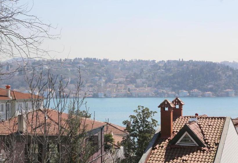 בית מלון כפרי Huma Suites