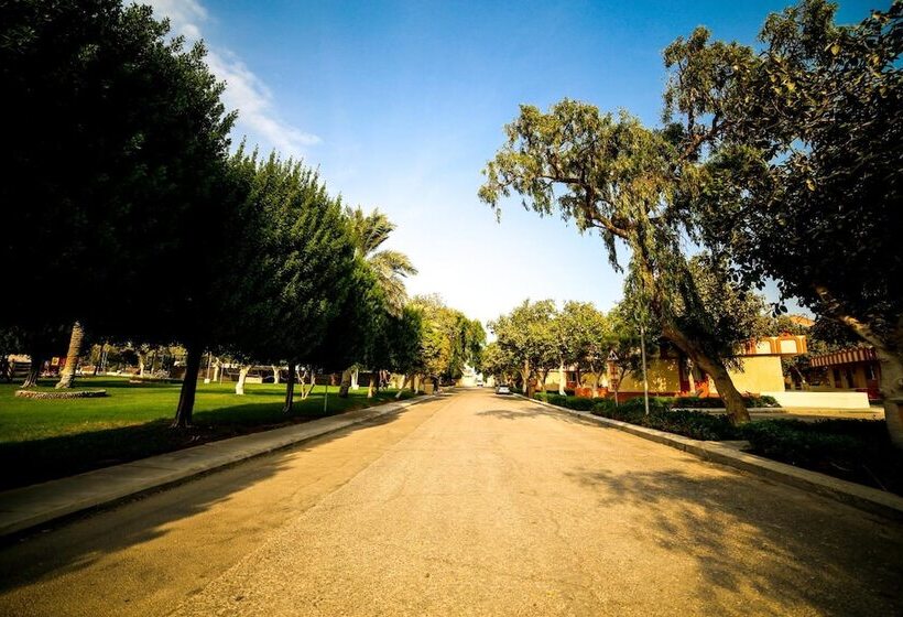 هتل M Executive Residence And Boutique