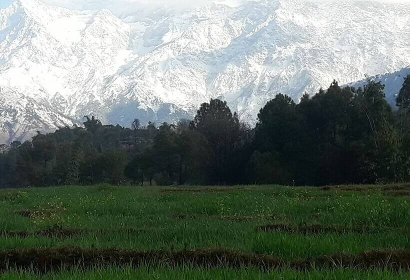 Nature Bloom Dharamshala Hotel And Resort