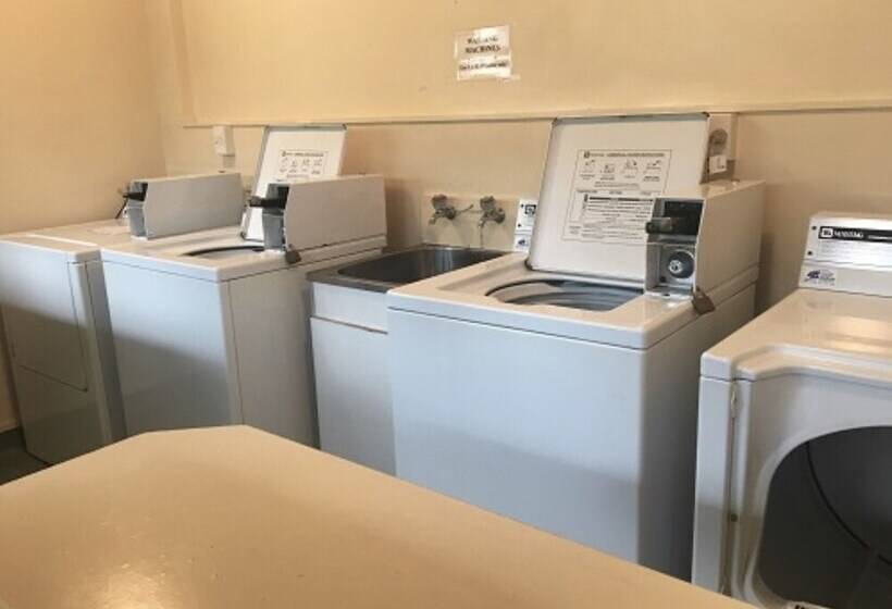 בית מלון כפרי Otorohanga Kiwi Holiday Park