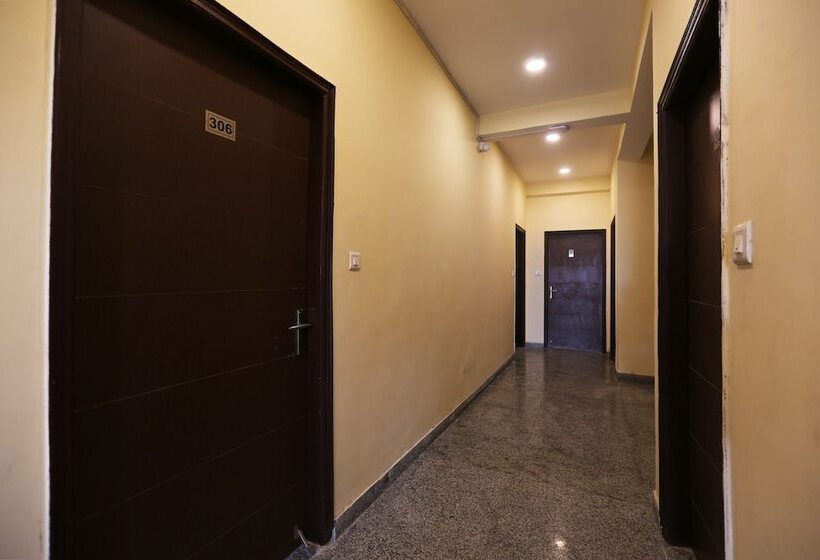 酒店 Oyo 16562 Flagship Sector 11