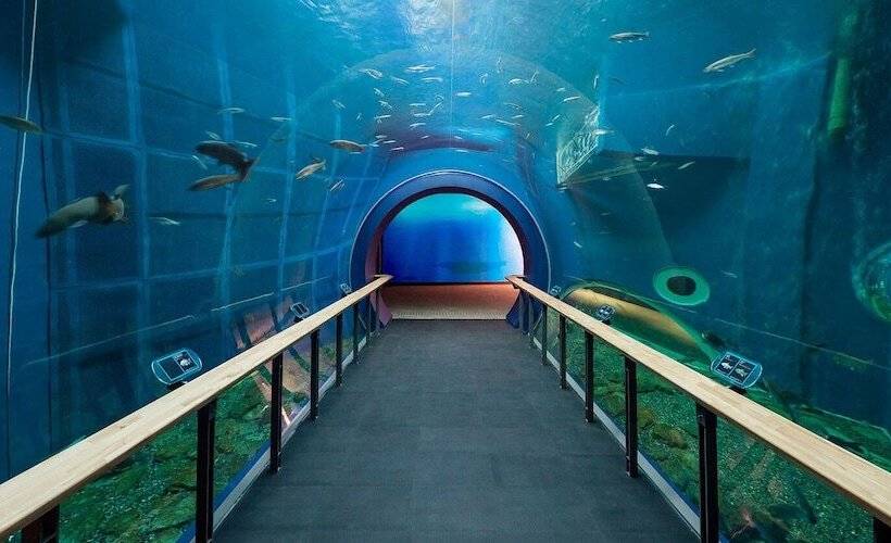 酒店 Palms   Adults Only