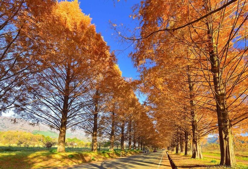 酒店 Palms   Adults Only