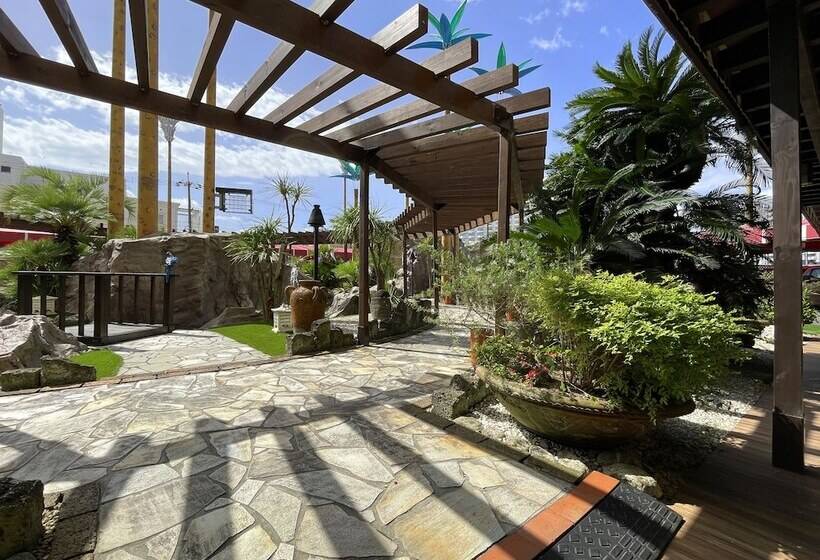 酒店 Palms   Adults Only