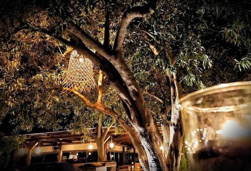 Отель Plataria Seaside Resort