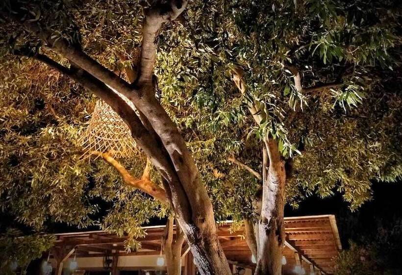 Отель Plataria Seaside Resort