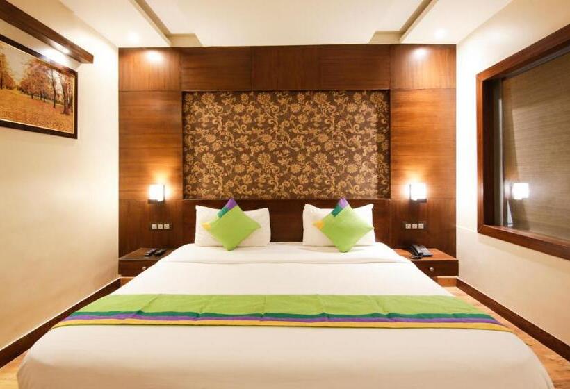 酒店 Treebo Punjabi Nature Residency, Near Faridabad Railway Station