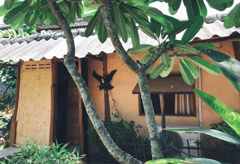 هتل Tiddin Resort & Garden
