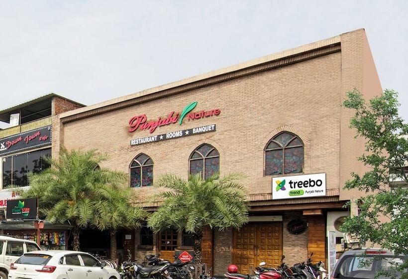 酒店 Treebo Punjabi Nature Residency, Near Faridabad Railway Station