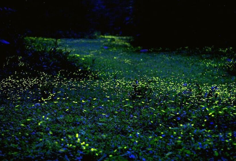 هتل West Lake Resortopia