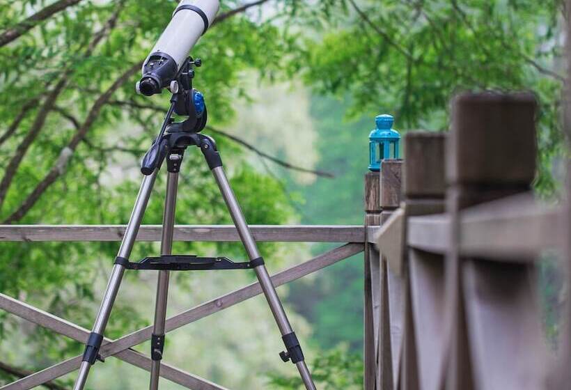 ホテル Wuyishan Old Street Sen Live British Inn