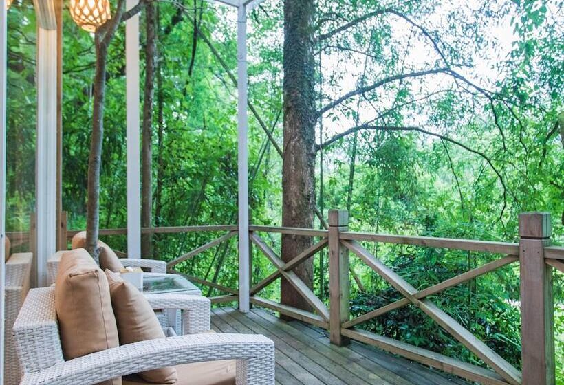 ホテル Wuyishan Old Street Sen Live British Inn