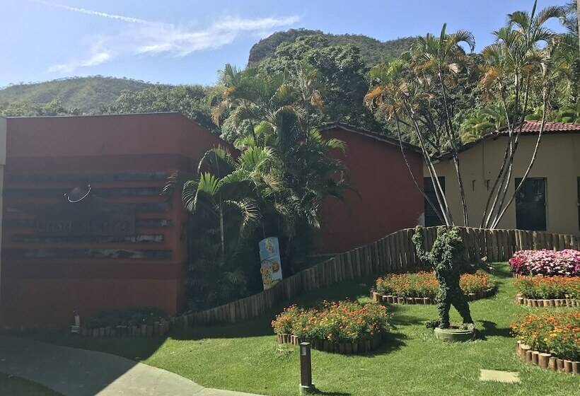 Original Trips  Hotel Vacation Villa