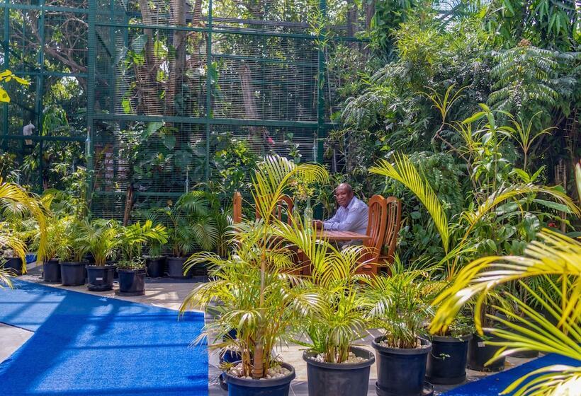 استراحتگاه The Sanctuary Hotel And Spa